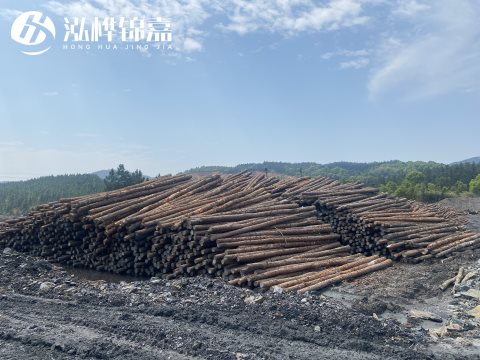 河道打樁為什么選擇松木樁來處理軟地基？-松木樁施工使用范圍